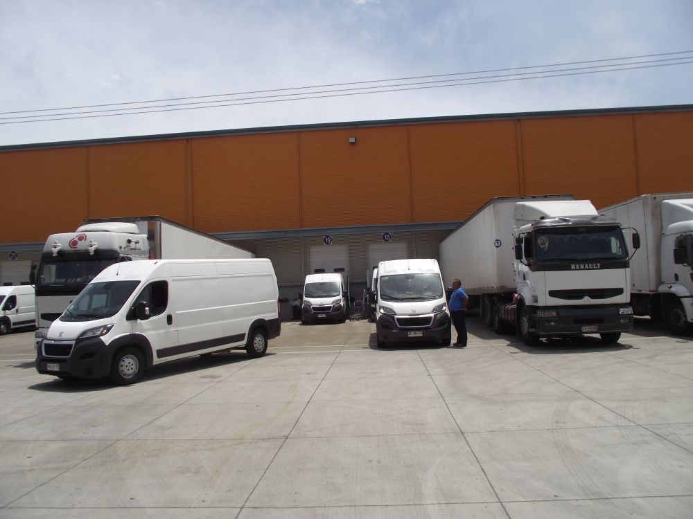Flota MVargas 7